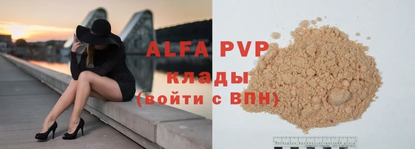 стафф Новодвинск