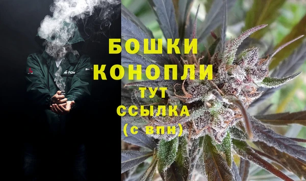 PSILOCYBIN Абаза